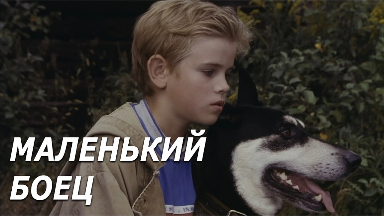 Маленький боец