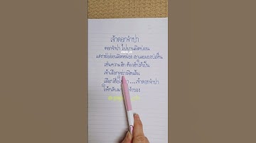 Thumbnail of เจ้าดอกจำปา เมล ตวิษา x ตุ๊กตา นริศรา #เพลงใหม่ #เพลงฮิต #ดอกจำปา #song #เจ้าดอกจำปา