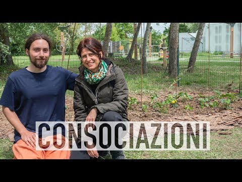 Video: Quali sono gli esempi di consociazione?