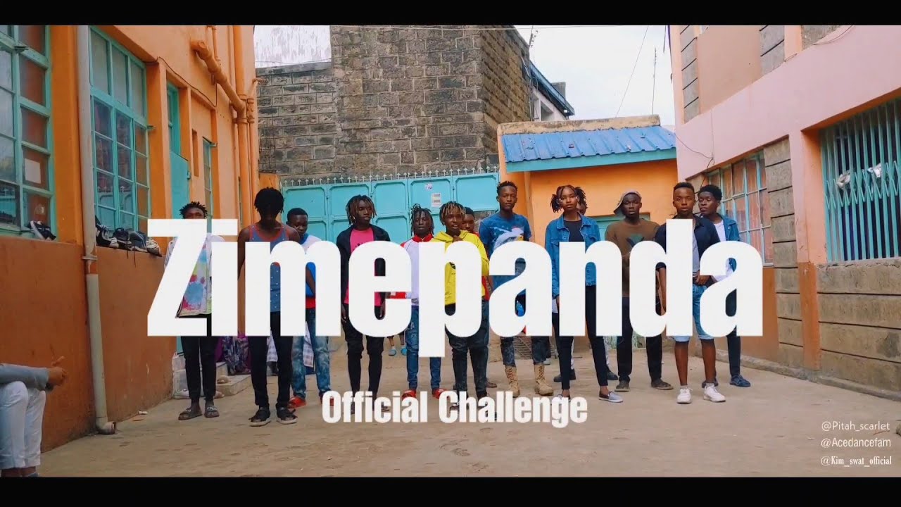 Download ZiMEPANDA - OFFICIAL DANCE CHALLENGE