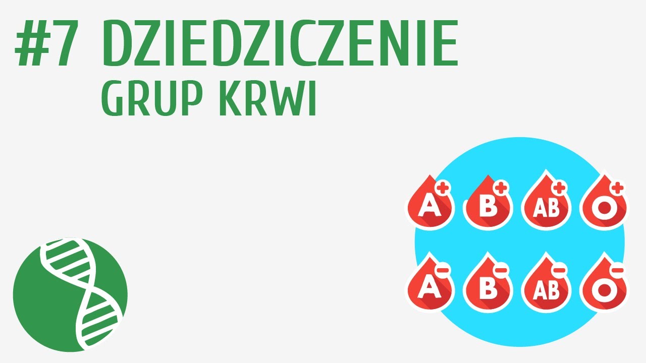 Sprawdzian Z Biologi Pulsc Zycia Gr A Genetyka
