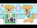 Baby pets  doggy max breaks a leg