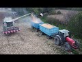 Kukorica Aratás 2020| Corn Harvest