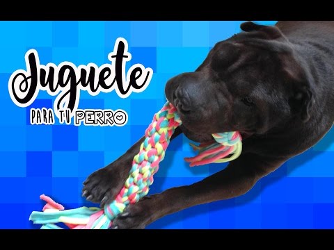Video: Instrucciones para trenzado Fleece perro de juguete