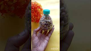 dry Mini bottle with big bottle? 🍾😱✨ #diy #tarndeng #craft #shorts #bottle #song