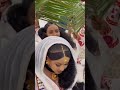 Tigray Eritrean Best Wedding Habesha Eritreanwedding Tigrayan Shorts
