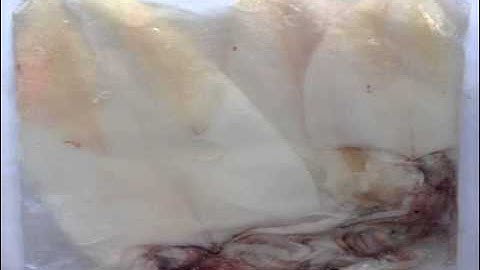 Chỗ nào bán mực một nắng mực khô chất lượng cao