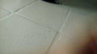 100_1354.MOV