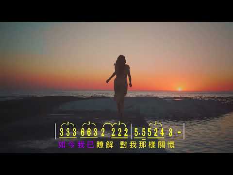 《空港》情人的關懷(Bb)《動態簡譜》KTV版/導音伴奏 卡拉OK字幕