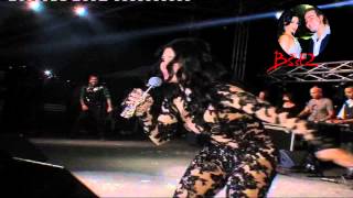 EXCLUSIVE: W Ma 5atish Bali Haifa Wehbe in Ehmij Concert 2013 HD-حصرياً هيفاء وهبي ومختش بالي  HD
