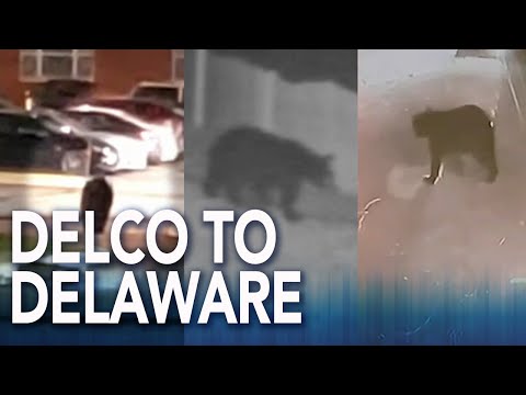 Video: V Delaware Honilo Blikající UFO Oranžovou Kouli - Alternativní Pohled