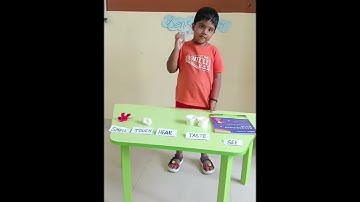 Sense corner by PP2 Ravindra Bharathi global school TVK