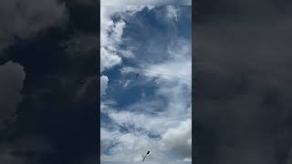 The XF flight control supports the failure of the rotor motor#drones