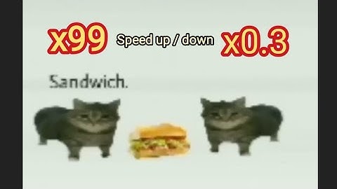 60fps Sandwich Cat Extremely Slow (x0.3) to Extremely Fast (x99) meme @extractube