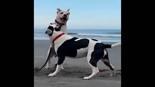 #support #usa #airforce #military #veteran #subscribe #aviation #us #followme