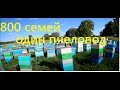 В гостях у Николая ???Пасека 500+ семей.Точок № 2,