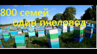 Пасека 500+ семей. Точок № 2,