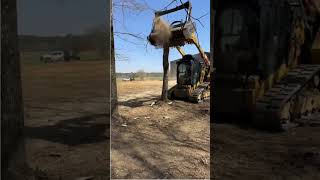 This Machine Eats Trees for Breakfast! #shorts #insane