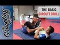 The Basic Circuit Drill!