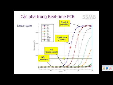 Bài 7 - Real-time PCR - Phần 1