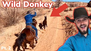 Roping Wild Burros On Navajo Reservation: [pt. 2] Vlog #33