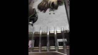 Ball Pen Assembly Machine