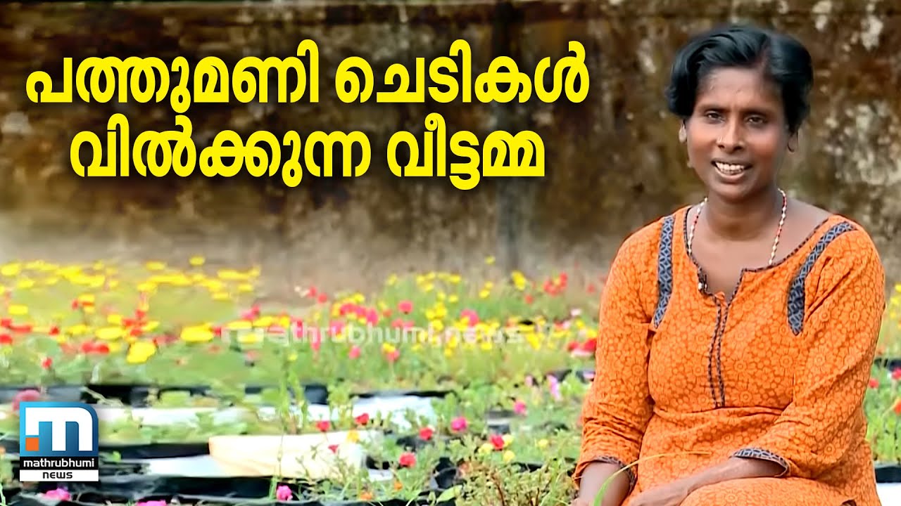 പത്തുമണി ചെടികള്‍ വില്‍ക്കുന്ന വീട്ടമ്മ| Mathrubhumi News