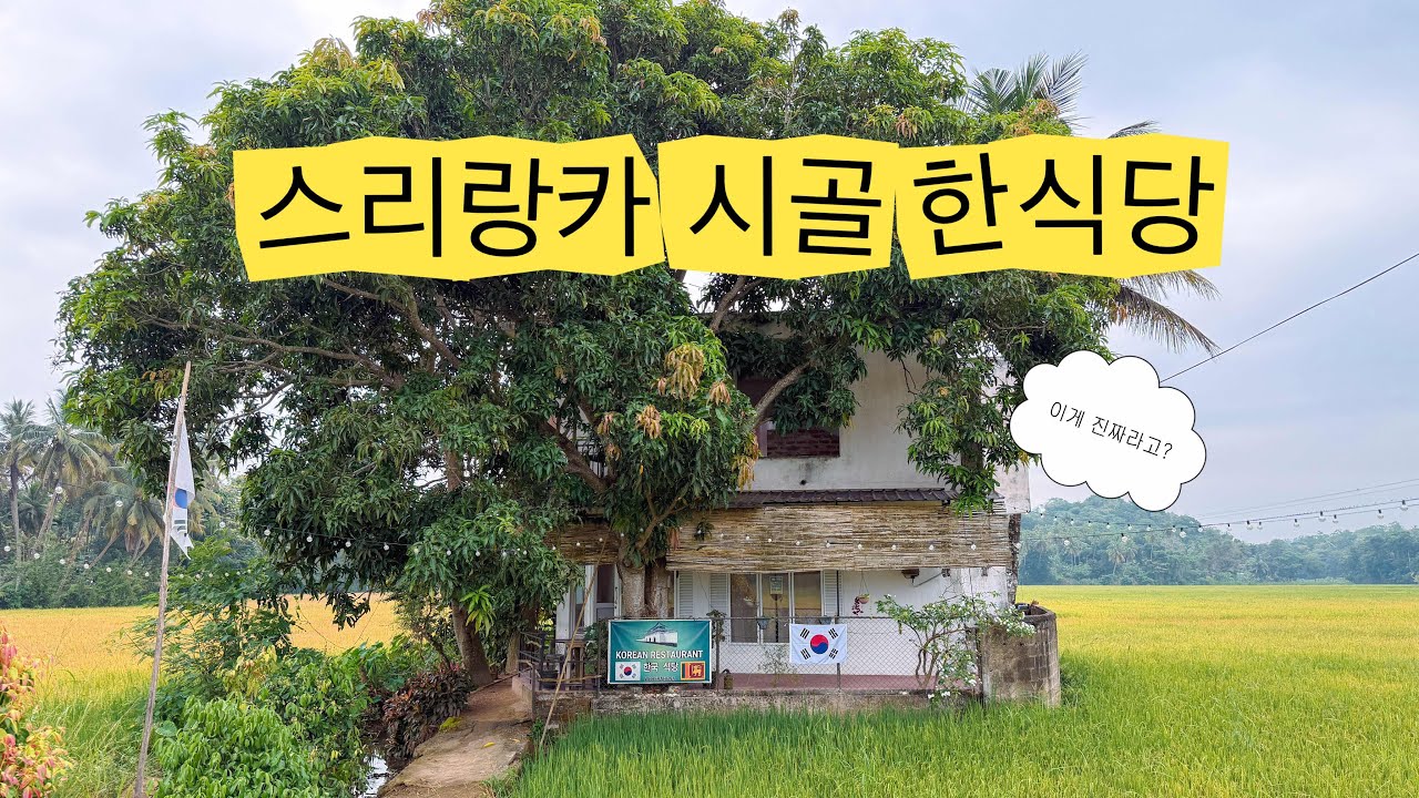 스리랑카 여행 중 시골 한복판에서 만난 한식당