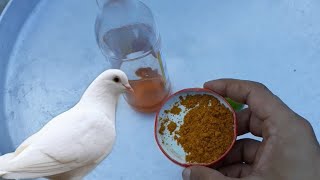 A way to make a natural mixture for pigeons to prevent all diseases