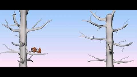 Jumping squirrel animation