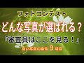【フォトコンテスト】どんな写真が選ばれる？「審査員はここを見る！」良い写真の条件9項目！