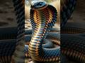 👉 “Which Snake Venom Kills Faster? 😱 Neurotoxic vs Hemotoxic – Real Difference!”#viral #facts
