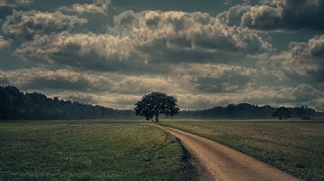 سورة الفاتحة بصوت الشيخ محمد اللحيدان #quran #القرآن_الكريم #اكسبلور #المصحف #محمد_اللحيدان 