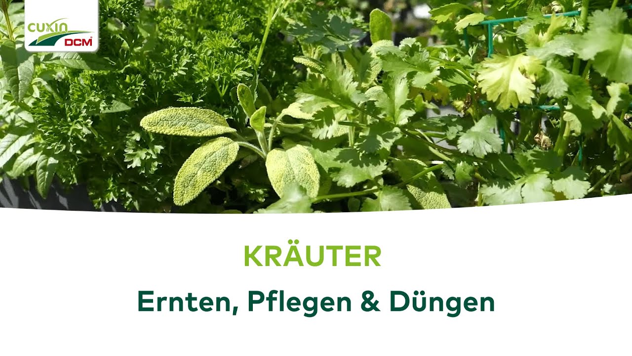 stickstoff phosphor kalium dünger Pflanzendünger für blühende Pflanzen 500ml Flüssigdünger kaufen main image 1