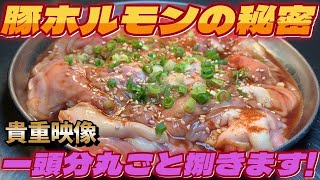 【3分半の貴重映像】焼肉屋が教える豚ホルモンの秘密/1頭分丸ごと捌きます！美味しさの要は〇〇にあった！