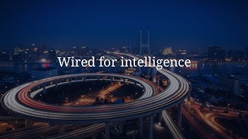 Introducing the IDC InfoBrief “Wired for Intelligence: A CIO Guide to Enterprise Networking for AI
