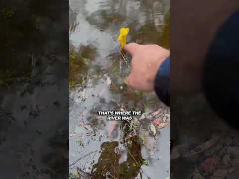 Camping next to a river might not be the best idea!