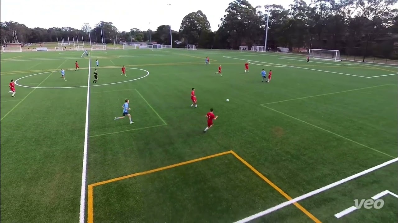 Riley Knight 23/24 Wollongong Wolves