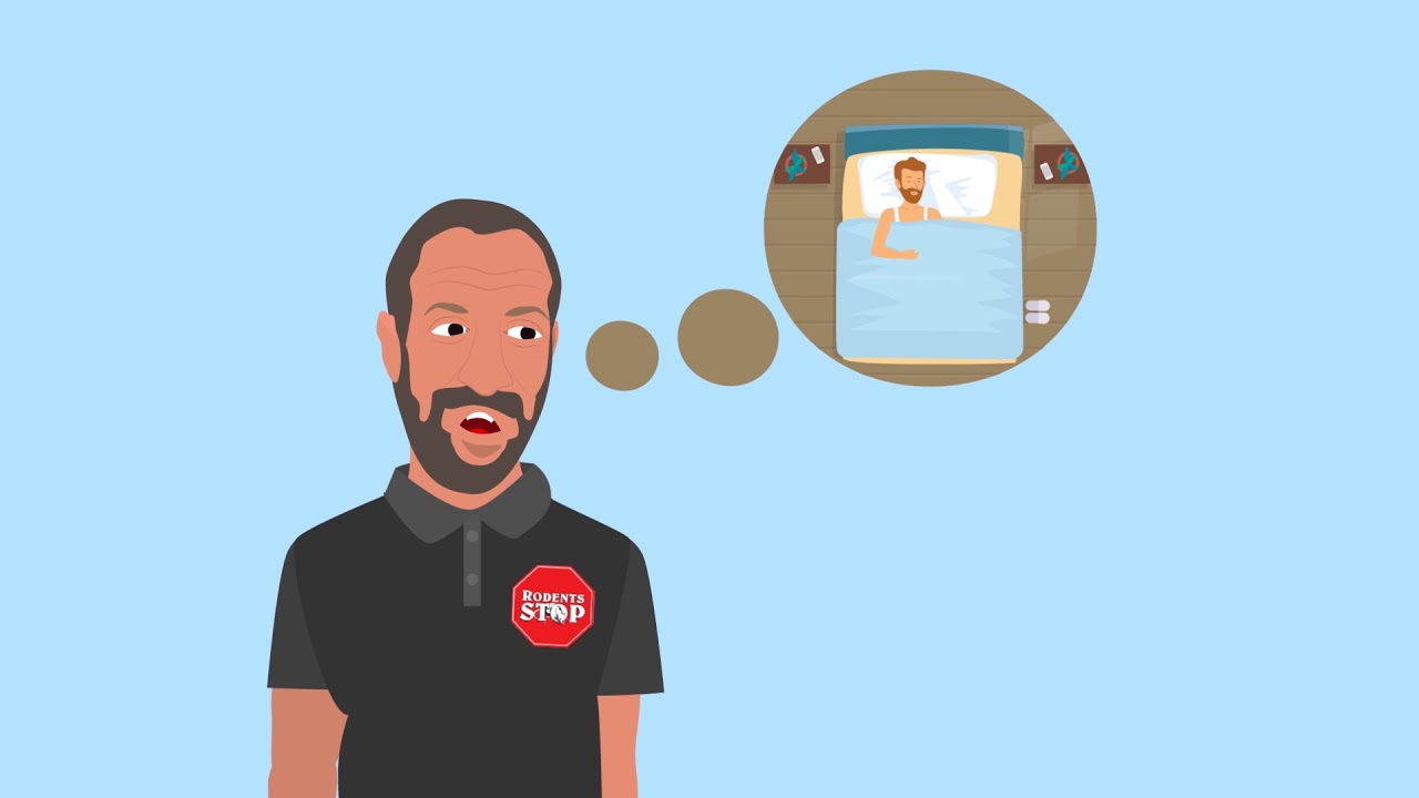 Rodents Stop - Rodent Control Company in Southern CA