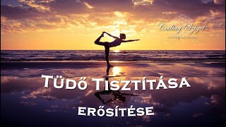 741 Hz Aura, Szervezet tisztítása, Immunrendszer erősítése ~ A TÜDŐ tisztítása, erősítése