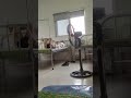 tui ốm rùi tui sẽ nghỉ quay 3-4