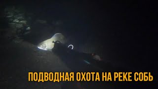 Подводная охота на реке Собь 14.08.2022