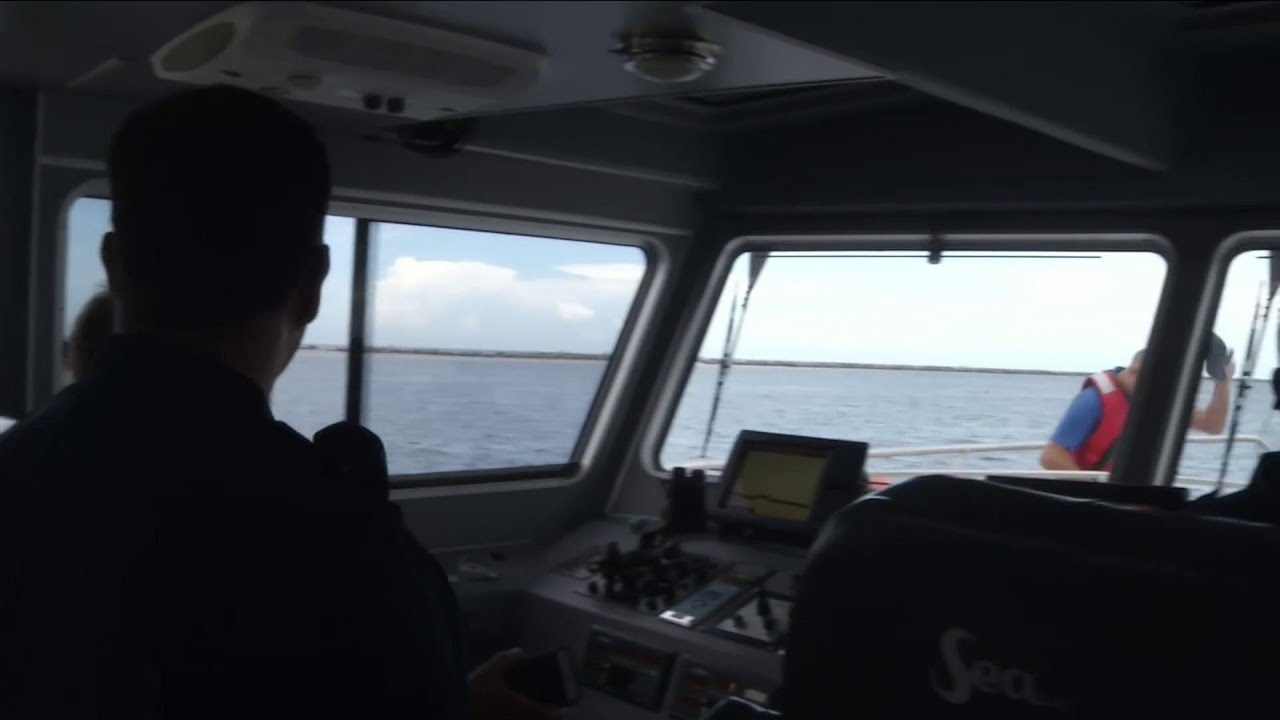 newspaper mockup Search to expand to Georgia waters on Wednesday