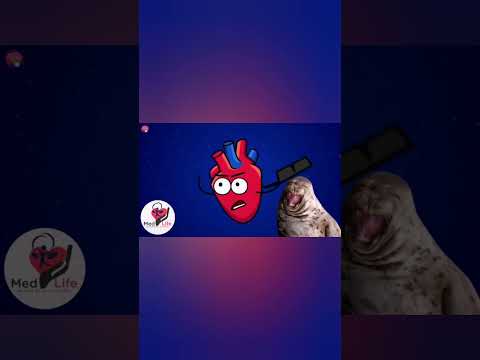 جوع آخر الليل Medlife Voiceover Leukocyte 