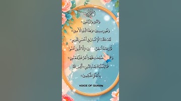 SURAH AT-TIN (سورة التين) - Egzon Ibrahimi #egzonibrahimi  #surahattin #qurantilawat