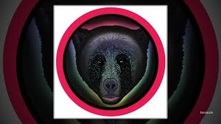 Raumakustik - Waves Jamie Jones Reedit