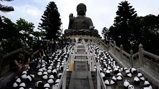 'Flash mob' of paper mache pandas tours Hong Kong