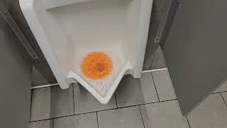 Aldi Unisex Restrooms in Branson, MO
