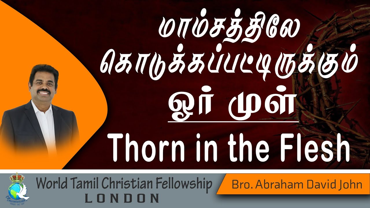 Thorn in the Flesh? ?