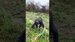 Irasalıbörek Öyhayatı Öy Im